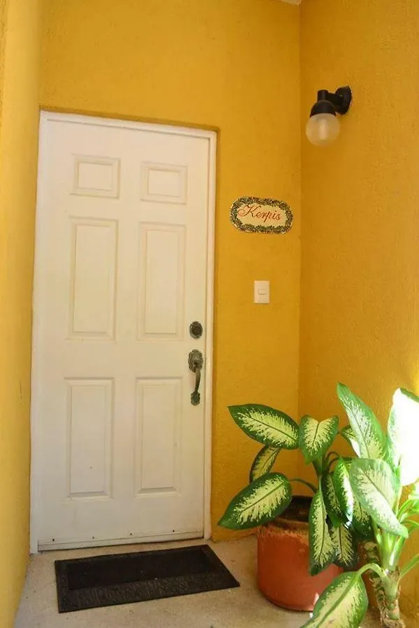 Beautiful Condo On 10Th Av In The Center Of Playa Playa del Carmen México